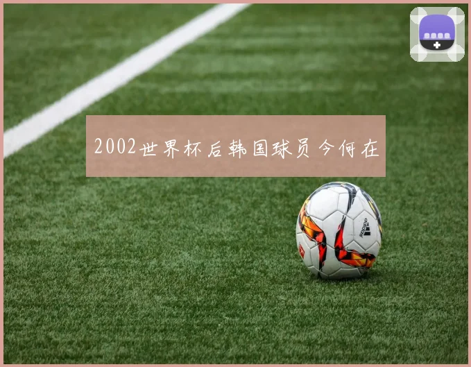 2002世界杯后韩国球员今何在