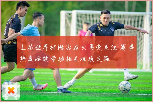 上届世界杯概念龙头再受关注 赛事热度延续带动相关板块走强
