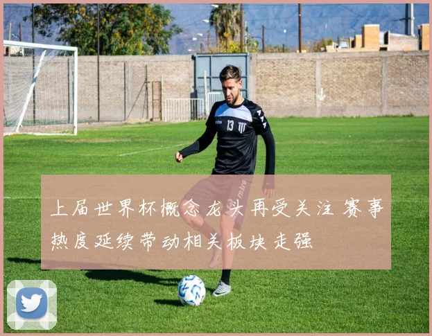 上届世界杯概念龙头再受关注 赛事热度延续带动相关板块走强