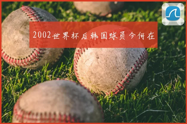 2002世界杯后韩国球员今何在