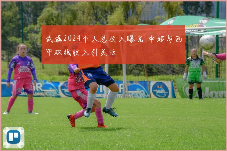 武磊2024个人总收入曝光 中超与西甲双线收入引关注
