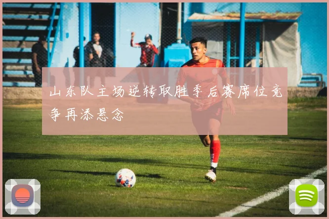 山东队主场逆转取胜季后赛席位竞争再添悬念